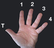 Numbering the fingers of the fretting hand.